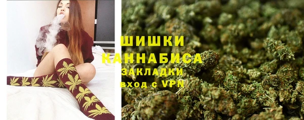 сатива Магадан