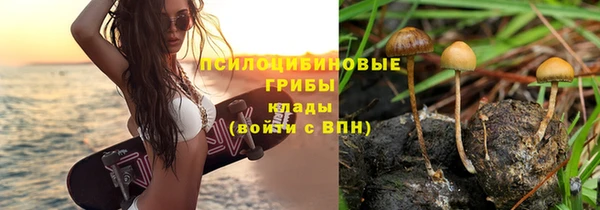 сатива Магадан